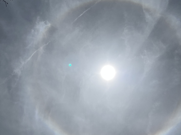 23-05-21 13-25-30 5520